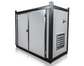 ТСС АД-20С-Т400-2РНМ11 в контейнере с АВР